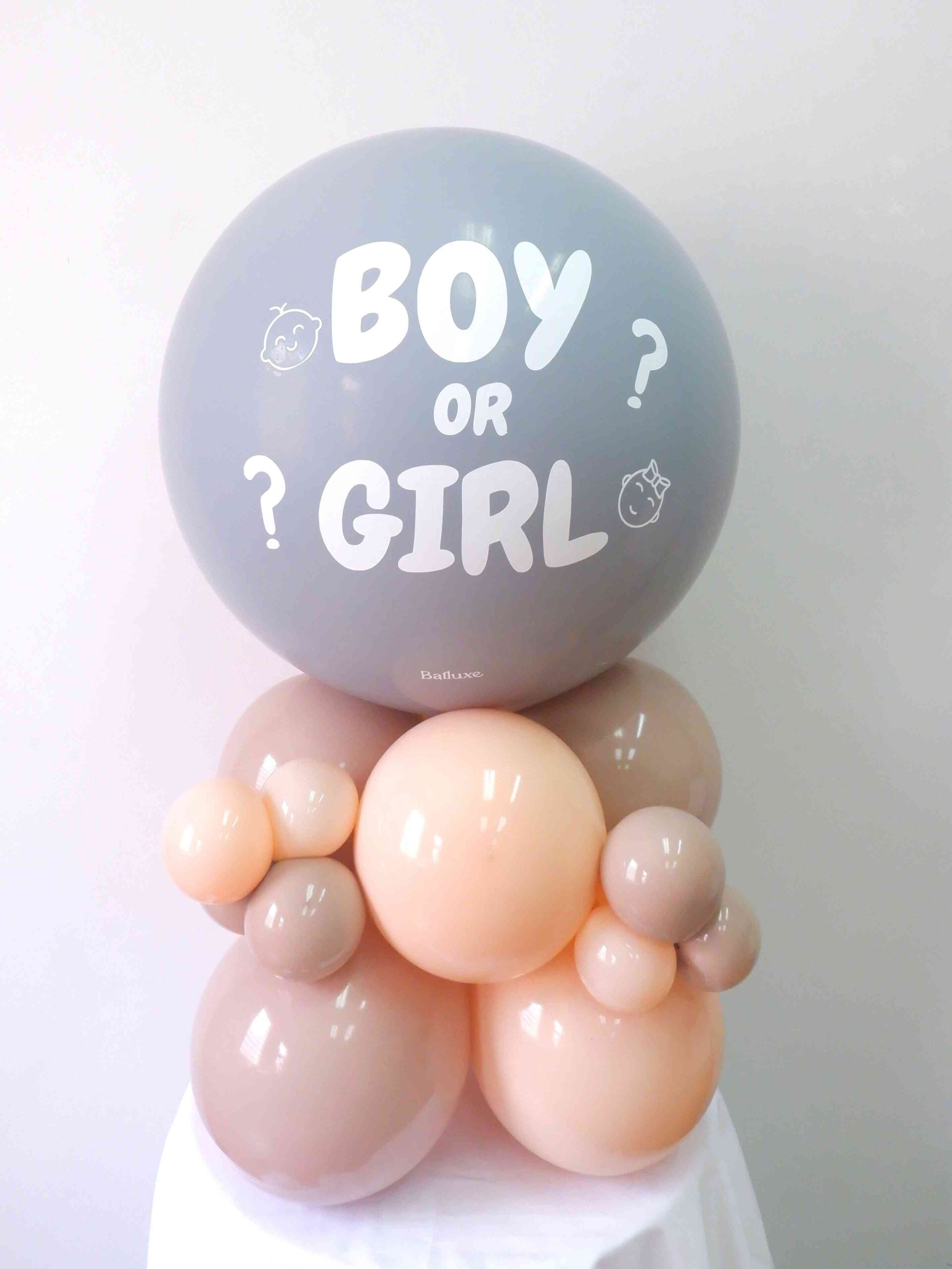 Gender Reveal Column Simple Balluxe Balloon 7318