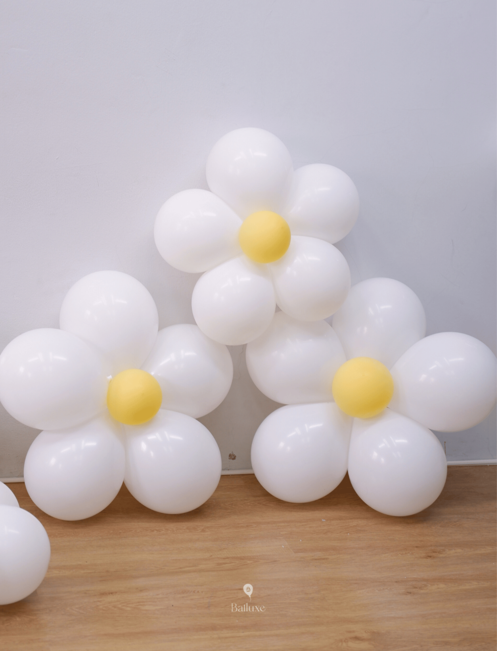Daisy Balloon