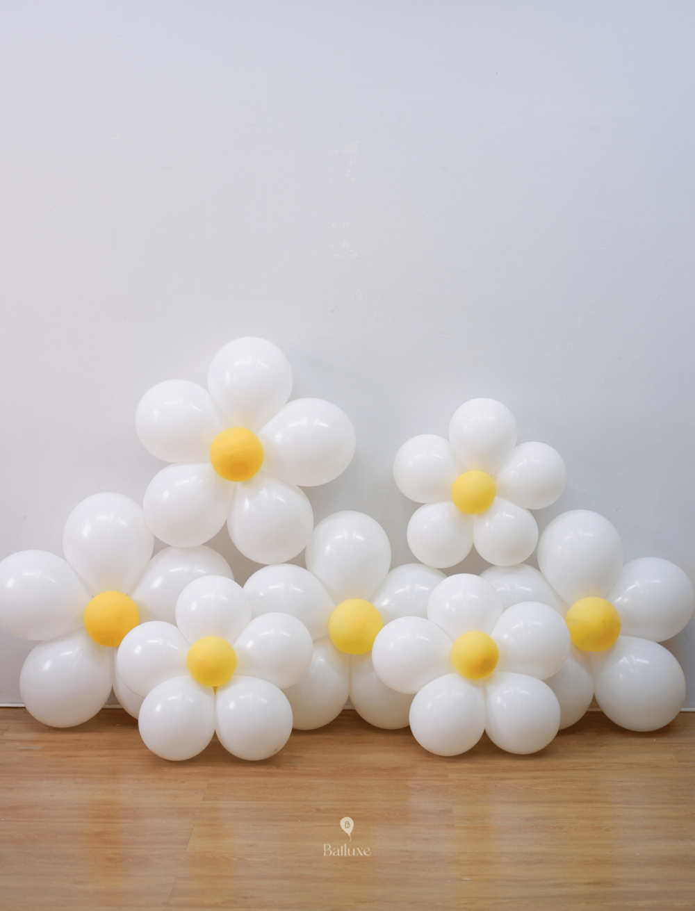 Daisy Balloon - Image 4
